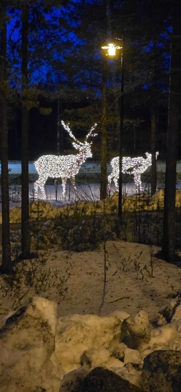 Home of Santa Claus – Foto 9