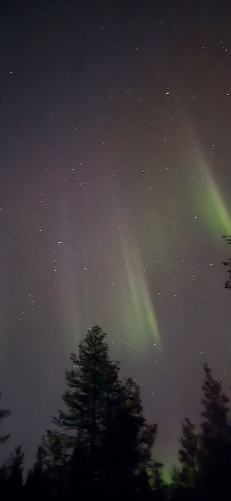 Polarlichter