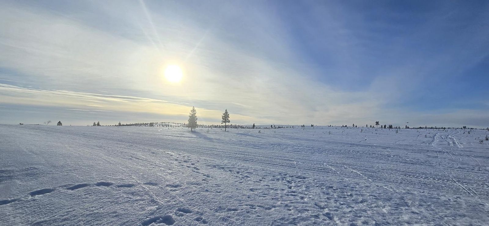 Fahrt nach Karasjok – Foto 11