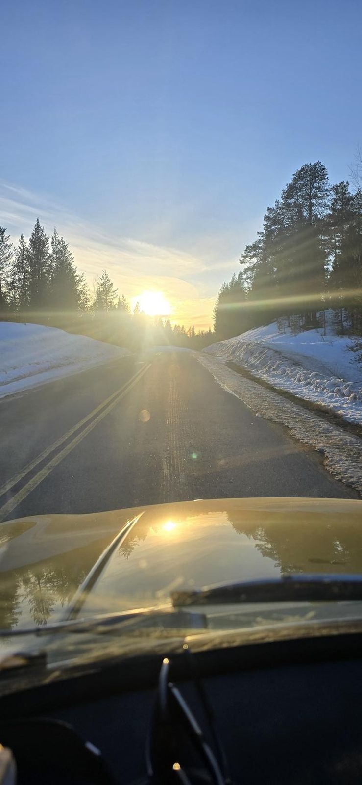 Fahrt nach Karasjok – Foto 14