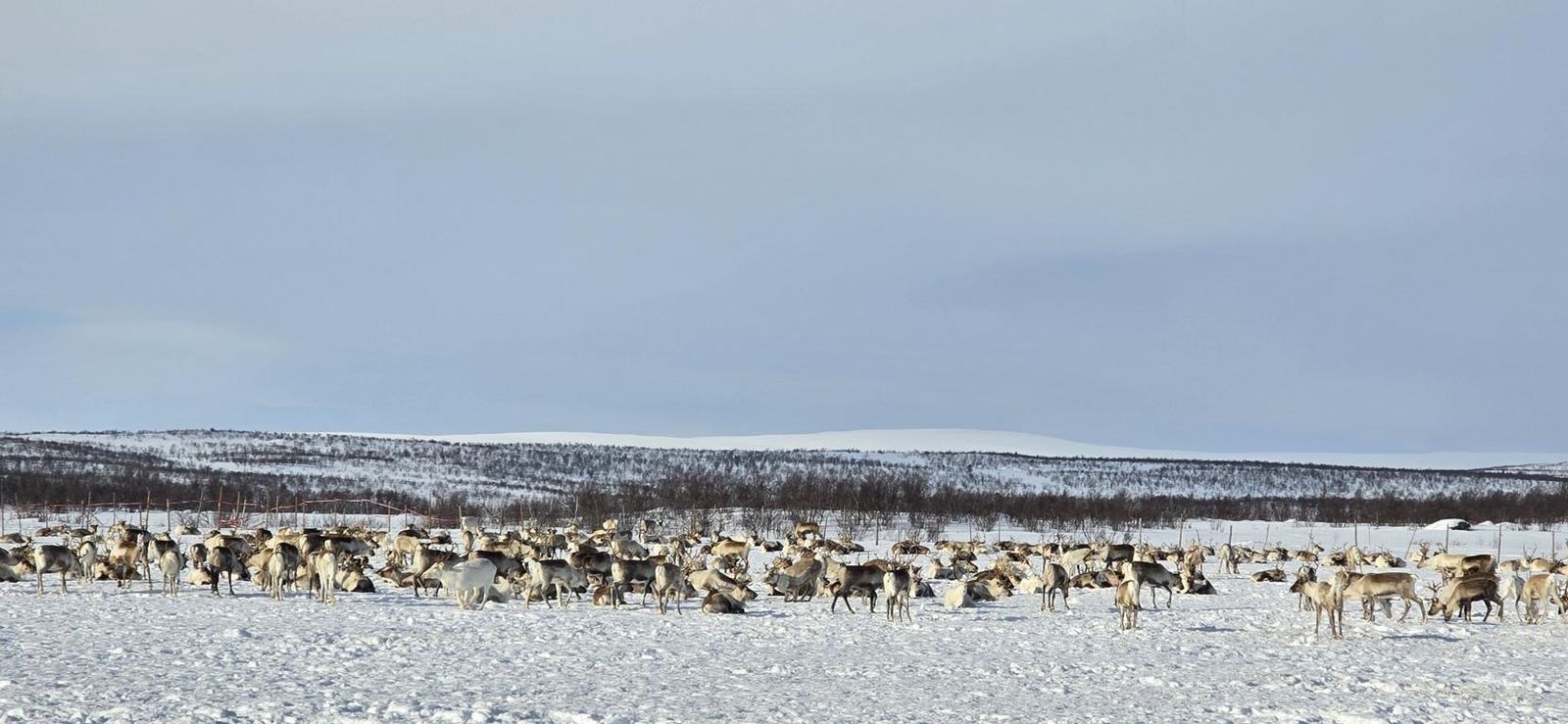 Am Nordkap – Foto 4